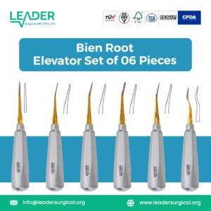 Six piece set of Bien pattern dental root elevators with fine, pointed tips for precise engagement and elevation of root tips and fragments.