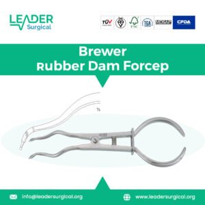 A classic Brewer rubber dam forceps with a distinct S-shaped curved beak and a locking mechanism, used for applying rubber dam clamps.