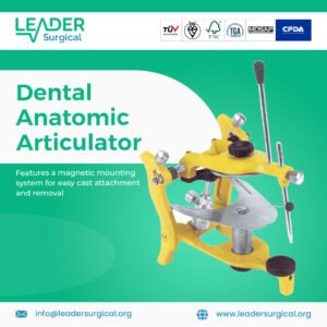 A dental anatomic articulator with condylar guidance settings and an incisal pin, used to mount models and simulate natural jaw function.