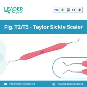 A Taylor sickle scaler, models T2/T3, with double-ended, robust triangular tips for removing supragingival calculus.
