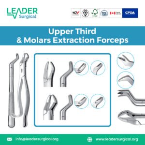 Dental forceps specifically designed for the extraction of upper third molars (wisdom teeth) and other maxillary molars, with beaks for deep access.