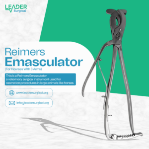 A Reimers emasculator, a veterinary instrument with combined crushing and cutting blades, used for castrating large livestock like cattle and horses.